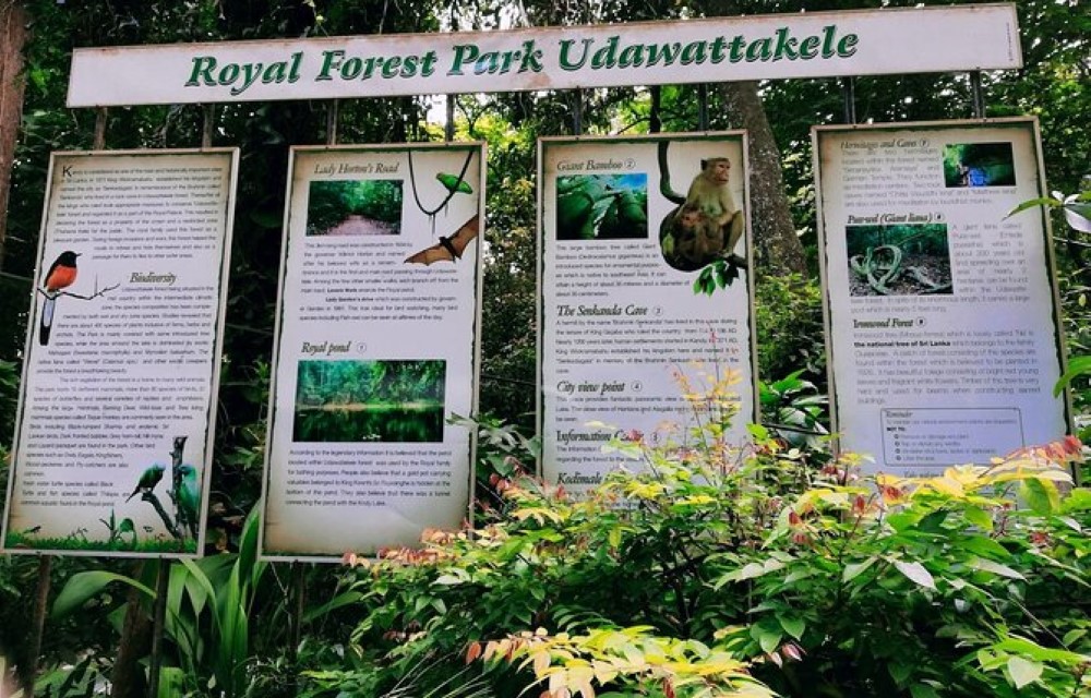 Udawatta Kele Sanctuary